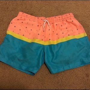 Chubbies size large discontinued print